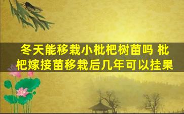 冬天能移栽小枇杷树苗吗 枇杷嫁接苗移栽后几年可以挂果